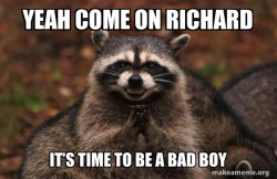 Evil Plotting Raccoon
