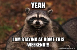 Evil Plotting Raccoon