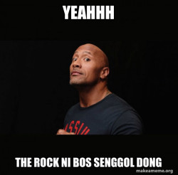 Dwayne Johnson (The Rock)