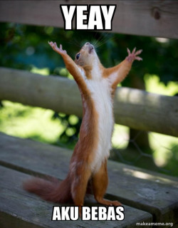 Happy Squirrel