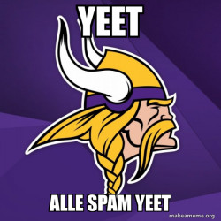 Minnesota Vikings