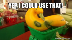 Gourd Advice Mallard