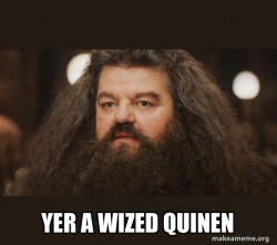Hagrid - I should not have said that