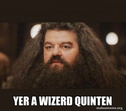 Hagrid - I should not have said that