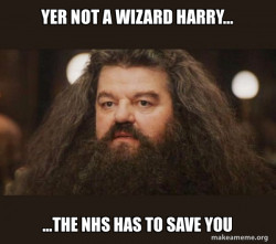 Hagrid - I should not have said that