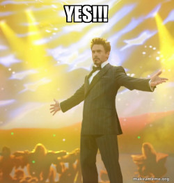Tony Stark Success