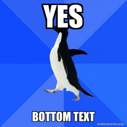 Socially Awkward Penguin