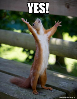 Happy Squirrel