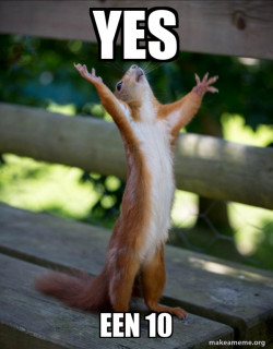 Happy Squirrel