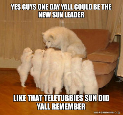 Storytelling Dog