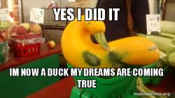 Gourd Advice Mallard