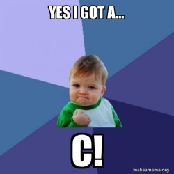 Success Kid