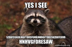 Evil Plotting Raccoon