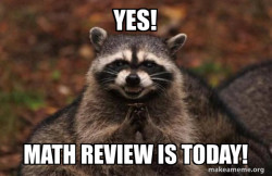 Evil Plotting Raccoon