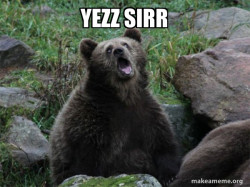 Sarcastic Bear