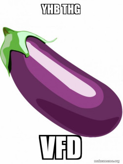 EGGPLANT
