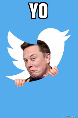 Elon Musk Twitter