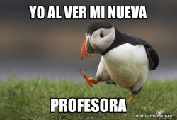 Unpopular Opinion Puffin