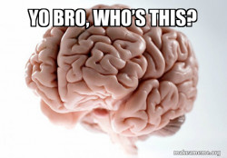 Scumbag Brain