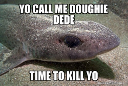 Dirty Joke Dogfish