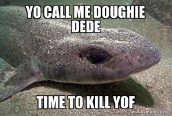 Dirty Joke Dogfish