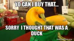 Gourd Advice Mallard