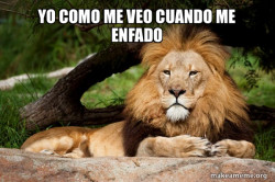 Contemplative Lion