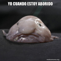 Blobfish