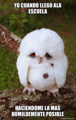 Sad Owl