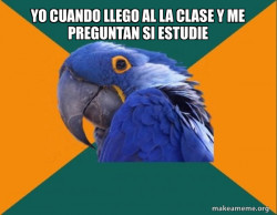 Paranoid Parrot
