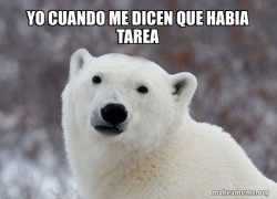 Popular Opinion Polar Bear