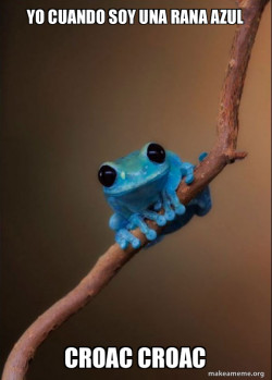 Small Fact Frog