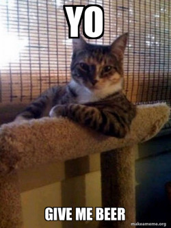 The Most Interesting Cat in the World