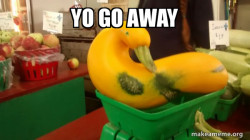 Gourd Advice Mallard