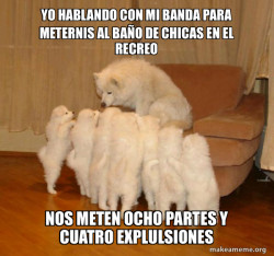 Storytelling Dog