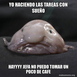 Blobfish