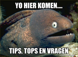 Bad Joke Eel