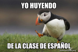 Unpopular Opinion Puffin