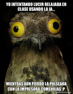 Weird Stuff I do Potoo