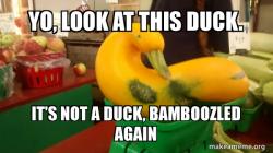 Gourd Advice Mallard
