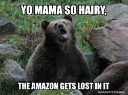 Sarcastic Bear