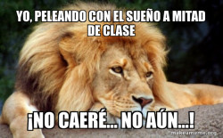 Confession Lion