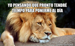 Confession Lion