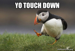 Unpopular Opinion Puffin