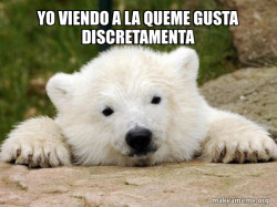 Popular Opinion Bear