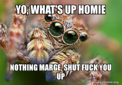 Hipster Spider