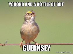 Common Opinion Sparrow