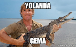 Steve irwin