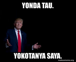 Trump Everything is FIne