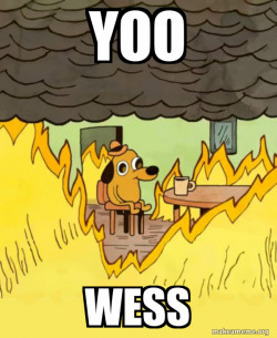 This Is Fine
